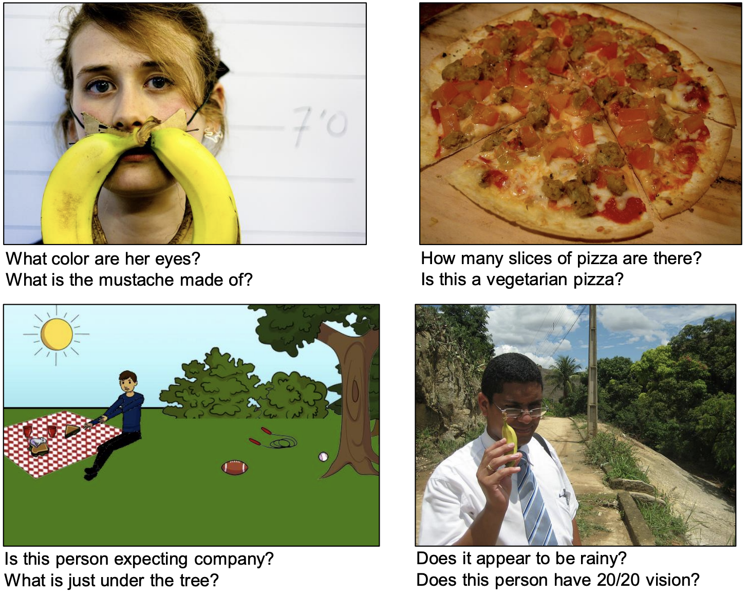 Figure 1: Examples of the image, question pairs from the VQA dataset